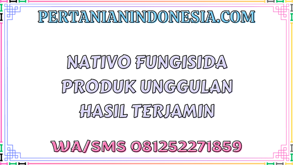 Nativo Fungisida Produk Unggulan Hasil Terjamin